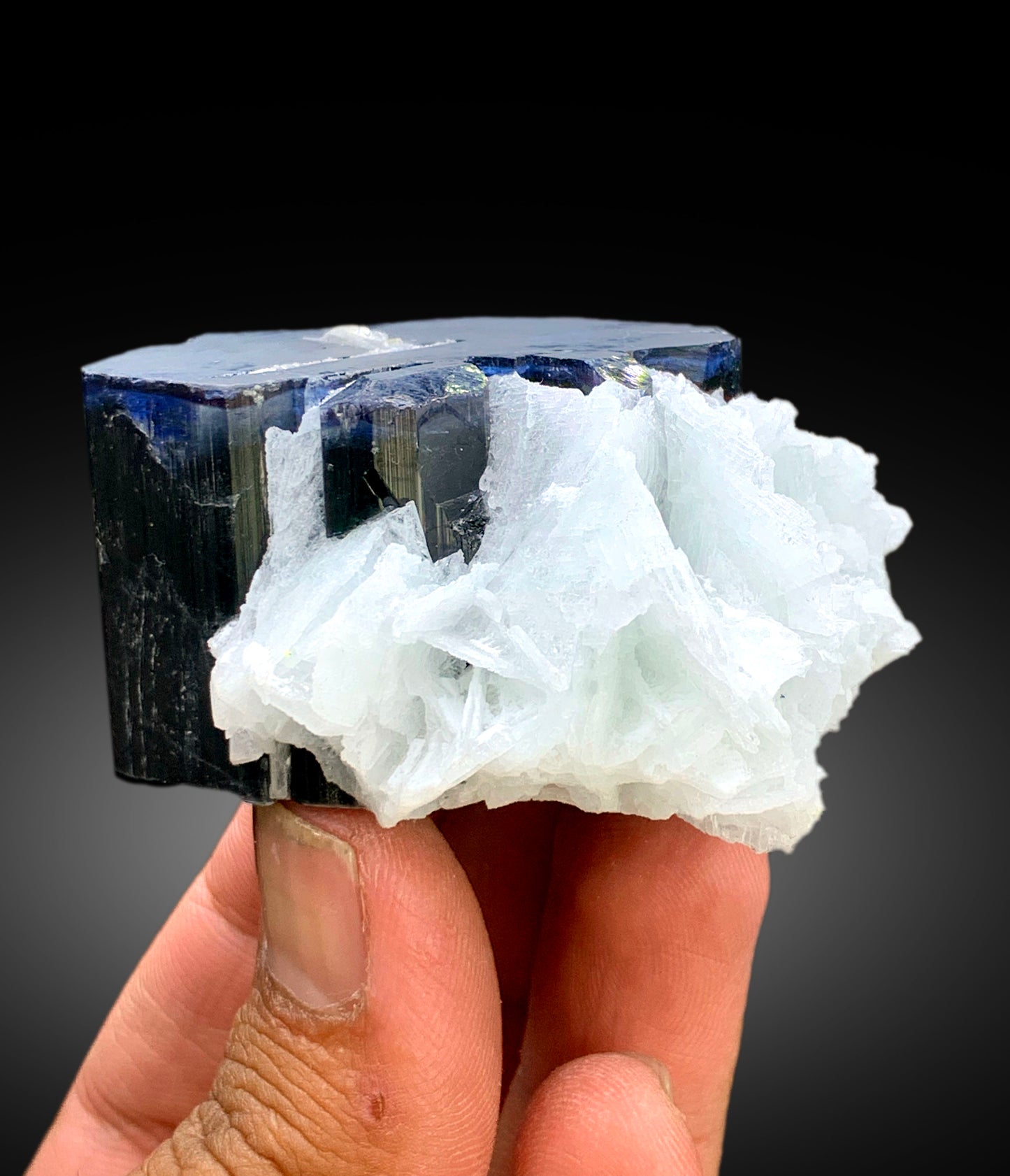 Natural Blue Cap Tourmaline Crystal with Cleavelandite Albite, Paprok Tourmaline, Raw Mineral, Tourmaline Specimen - 178 gram