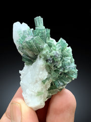 Bluish Green Tourmaline Cluster on Quartz from Afghanistan - 60 gram