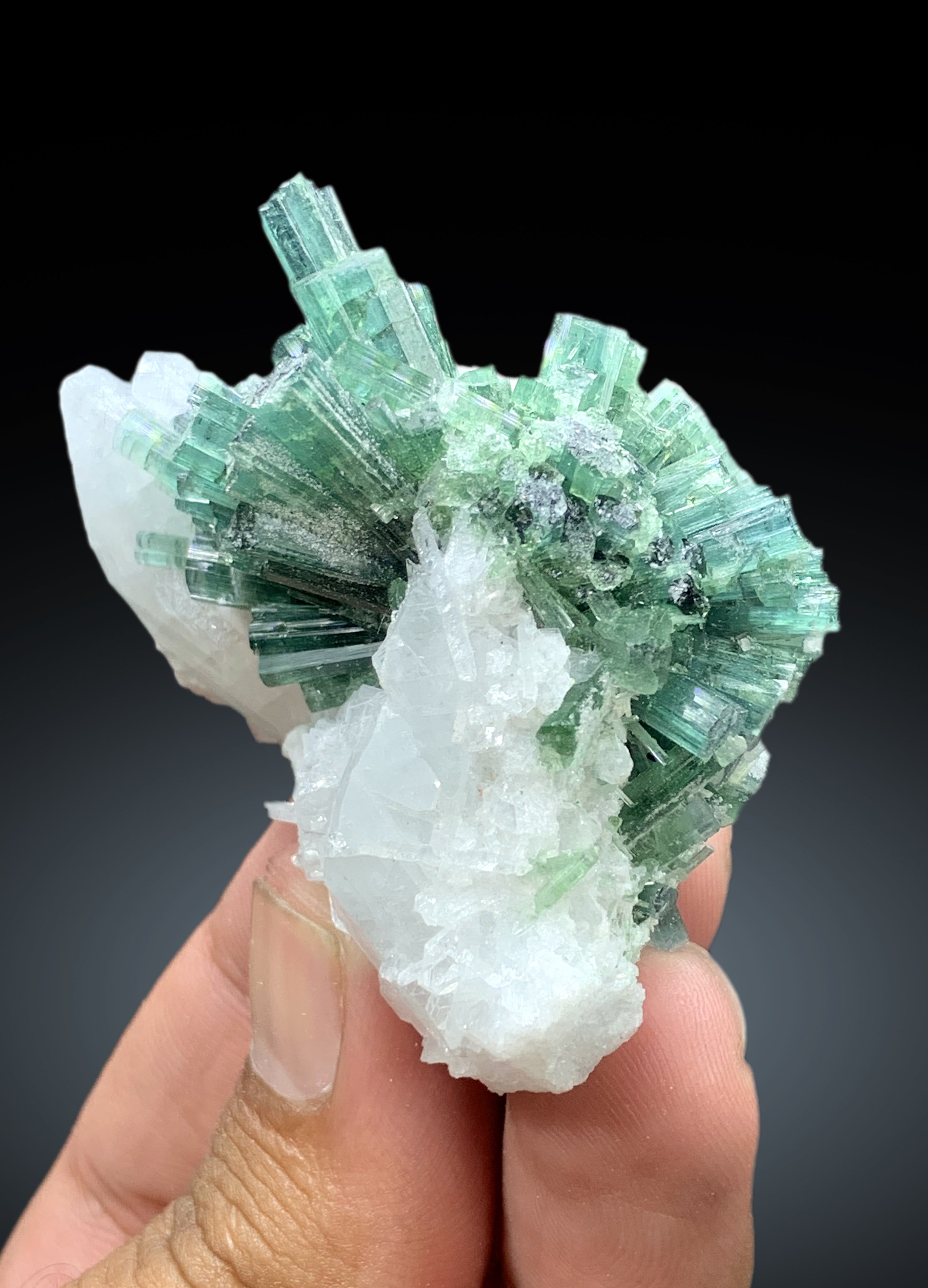 Bluish Green Tourmaline Cluster on Quartz from Afghanistan - 60 gram