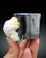 Natural Schorl Black Tourmaline with Cleavelandite Albite from Pakistan - 295 gram