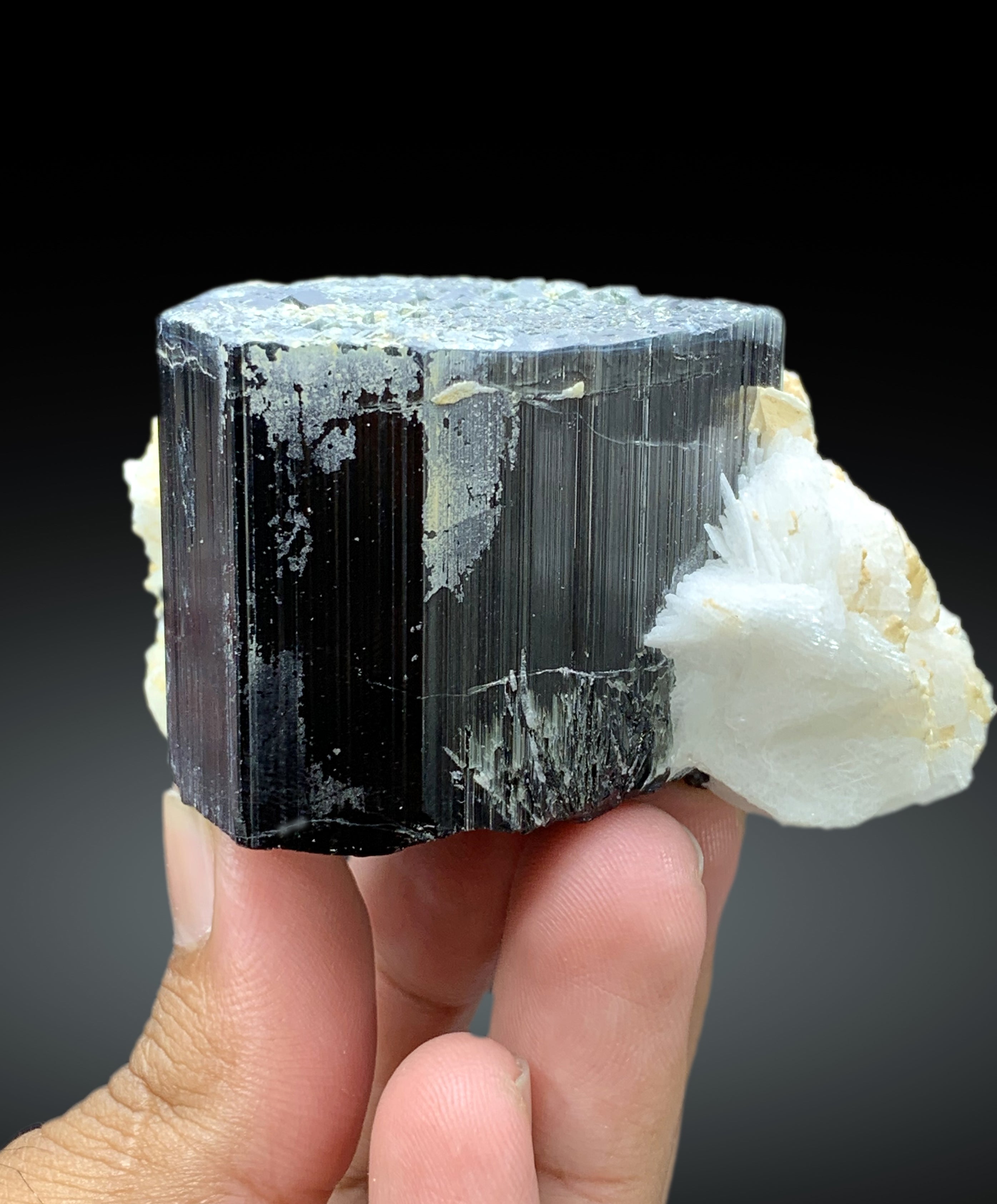 Natural Schorl Black Tourmaline with Cleavelandite Albite from Pakistan - 295 gram