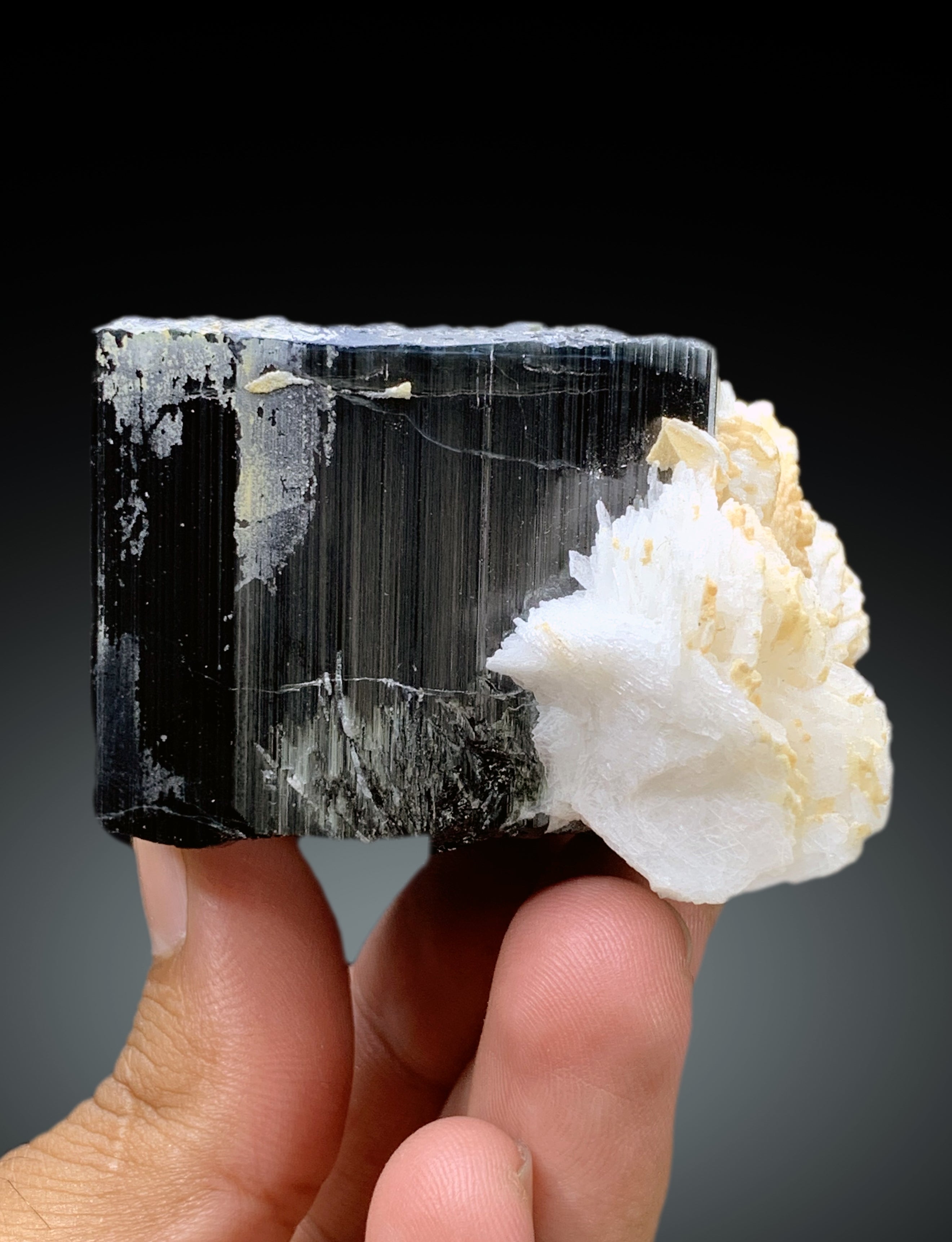 Natural Schorl Black Tourmaline with Cleavelandite Albite from Pakistan - 295 gram