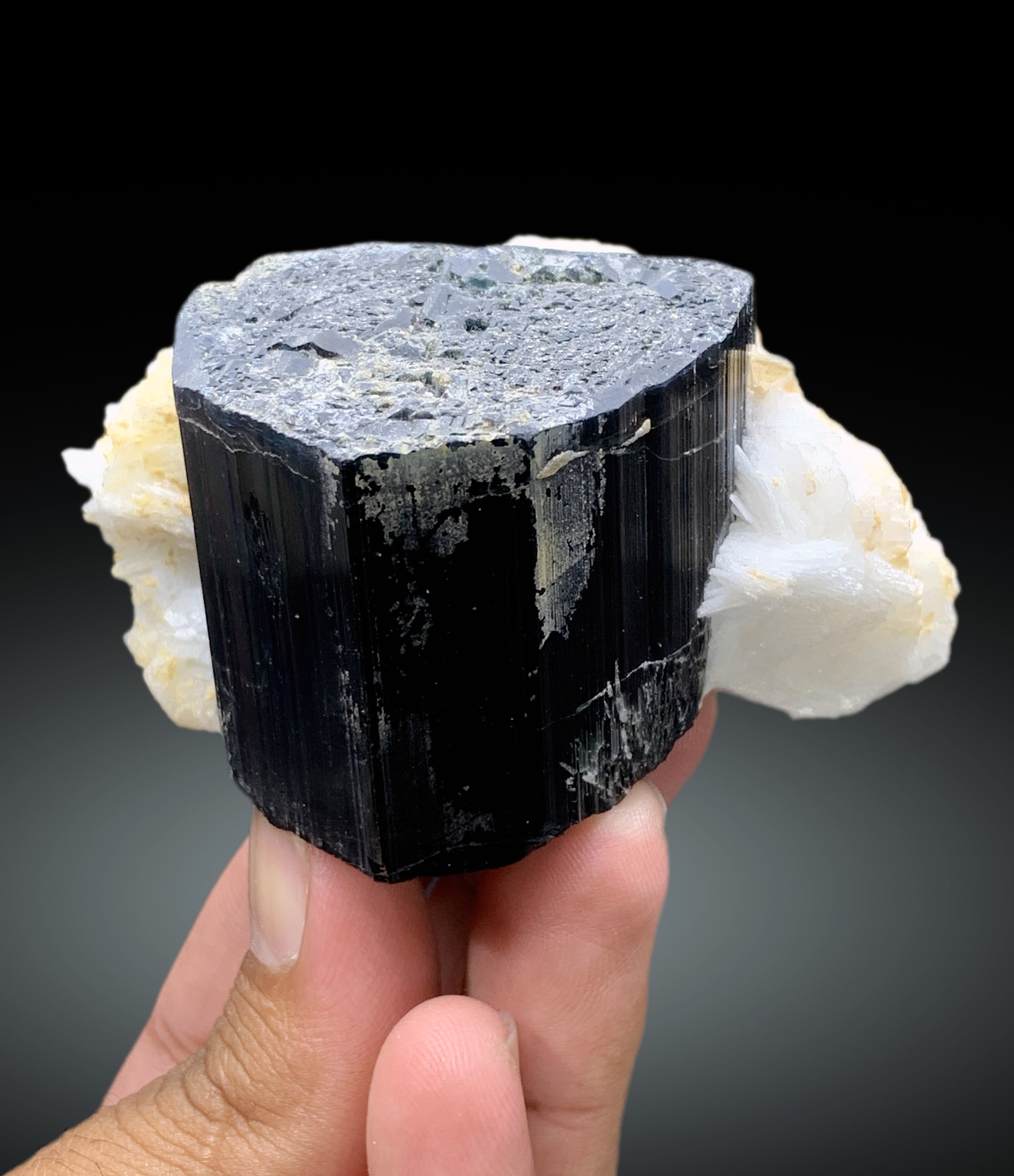 Natural Schorl Black Tourmaline with Cleavelandite Albite from Pakistan - 295 gram