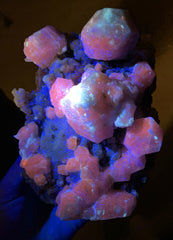 Fluorescent Rare Purple Hackmanite on Phlogopite Mica from Afghanistan - 1654 grams