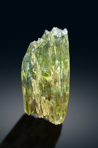 Etched Yellow Triphane Kunzite Crystal from Afghanistan - 111 gram