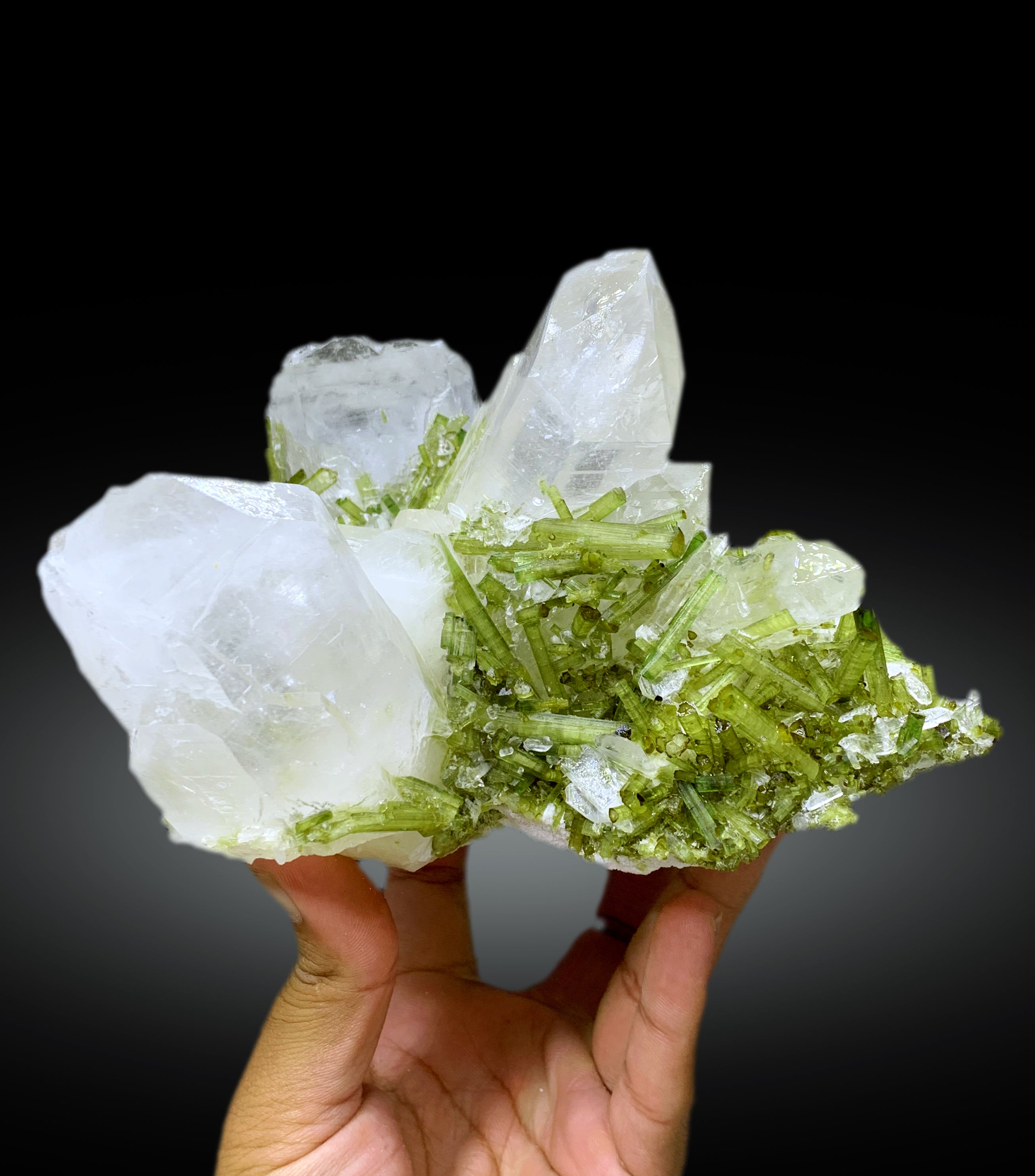 Green Tourmaline Crystals on Quartz from Pakistan, 2088 gram