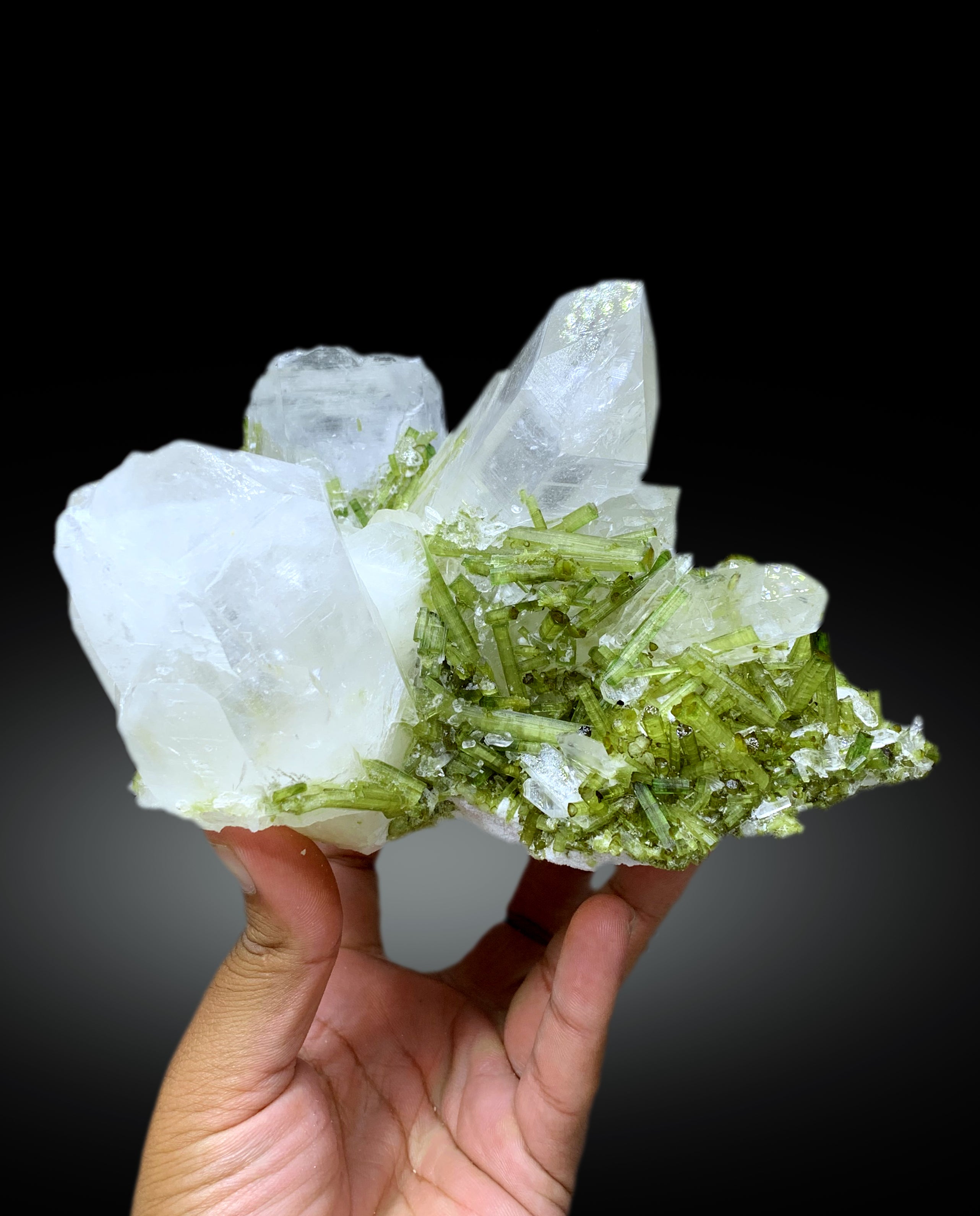 Green Tourmaline Crystals on Quartz from Pakistan, 2088 gram