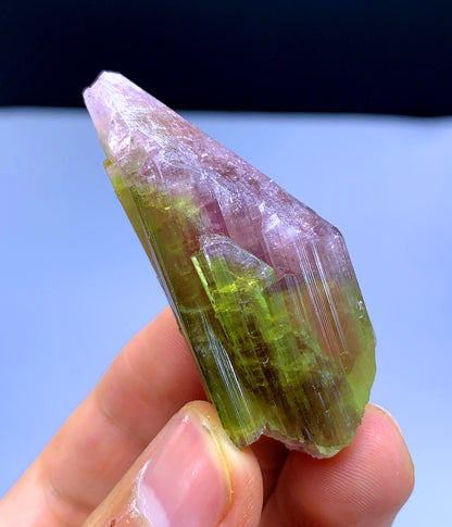 Natural Bicolor Tourmaline Crystal from Paprok Afghanistan - 133.50 carats