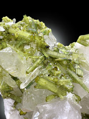 Green Tourmaline Crystals on Quartz from Pakistan, 2088 gram