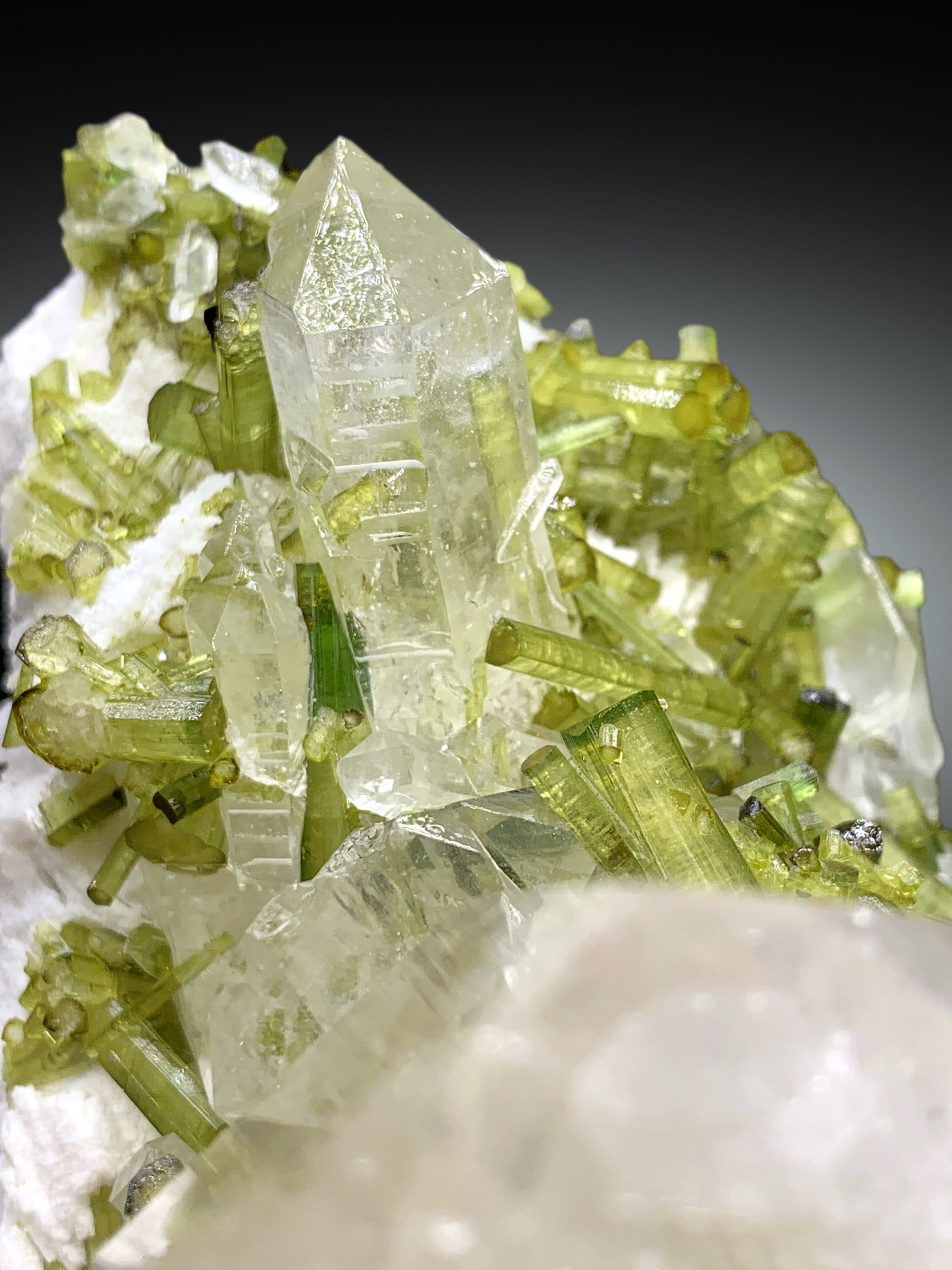 Green Tourmaline Crystals on Quartz from Pakistan, 2088 gram