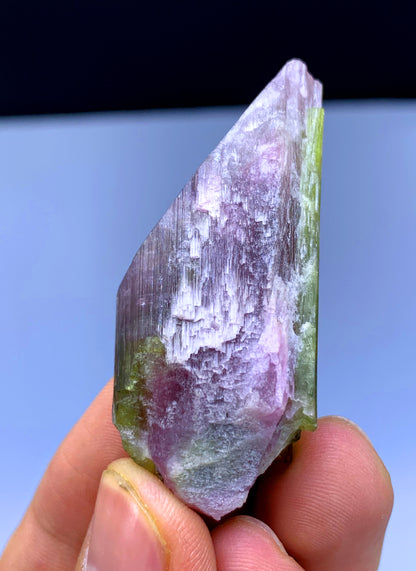 Natural Bicolor Tourmaline Crystal from Paprok Afghanistan - 133.50 carats