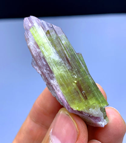 Natural Bicolor Tourmaline Crystal from Paprok Afghanistan - 133.50 carats