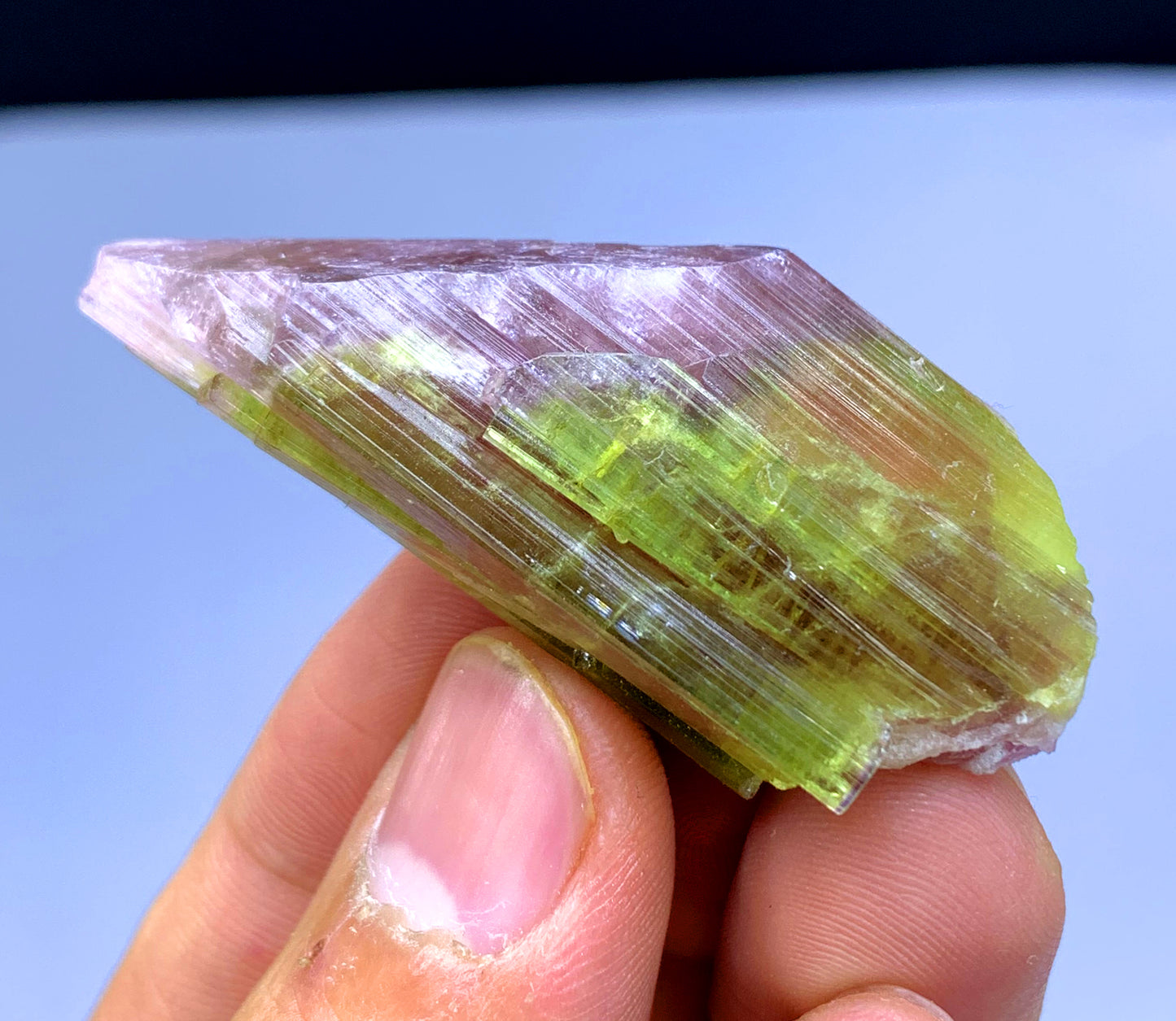 Natural Bicolor Tourmaline Crystal from Paprok Afghanistan - 133.50 carats