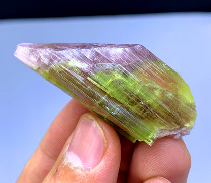 Natural Bicolor Tourmaline Crystal from Paprok Afghanistan - 133.50 carats