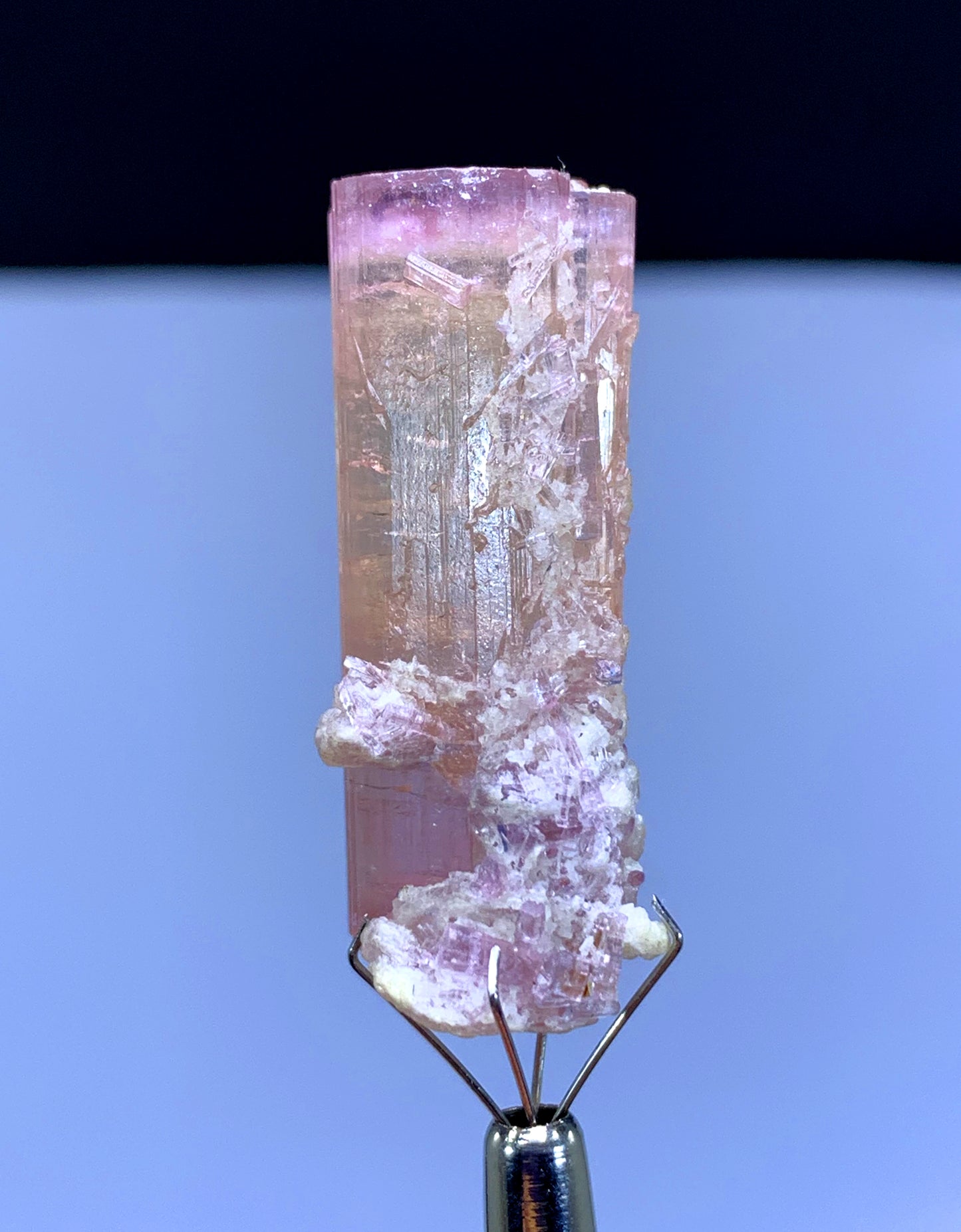 Natural Terminated Pink Tourmaline Crystal from Afghanistan - 62.55 carats