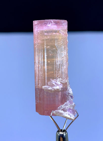Natural Terminated Pink Tourmaline Crystal from Afghanistan - 62.55 carats