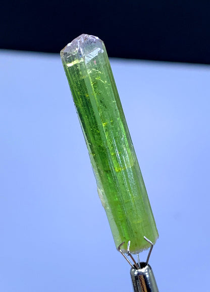 Natural Bicolor Tourmaline Crystal from Paprok Afghanistan - 21.05 carats