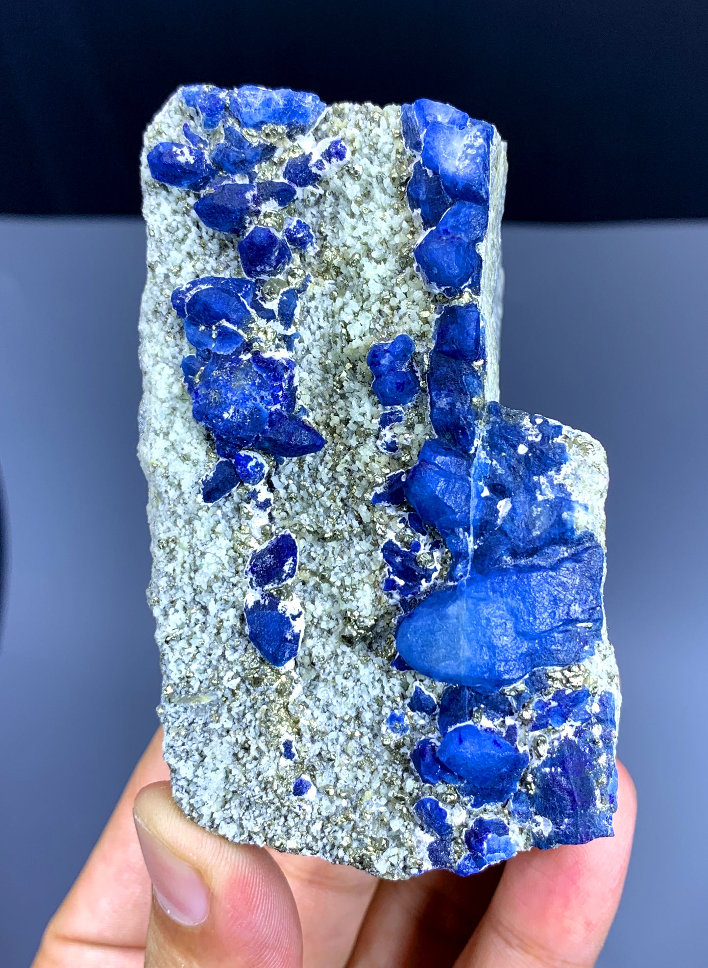 Rare Blue Afghanite with Pyrite on Matri from Afghanistan - 334 gram