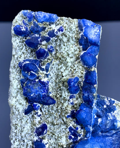 Rare Blue Afghanite with Pyrite on Matri from Afghanistan - 334 gram