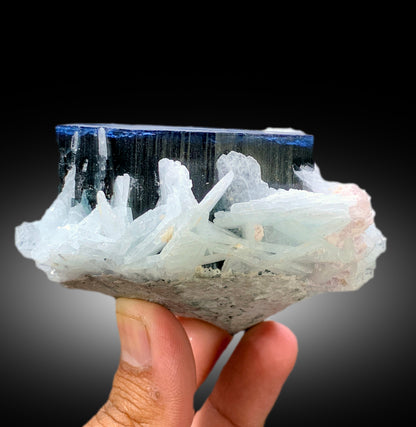 Natural Blue Cap Tourmaline with Cleavelandite Albite, Tourmaline Crystal, Paprok Tourmaline, Tourmaline Specimen - 459 gram