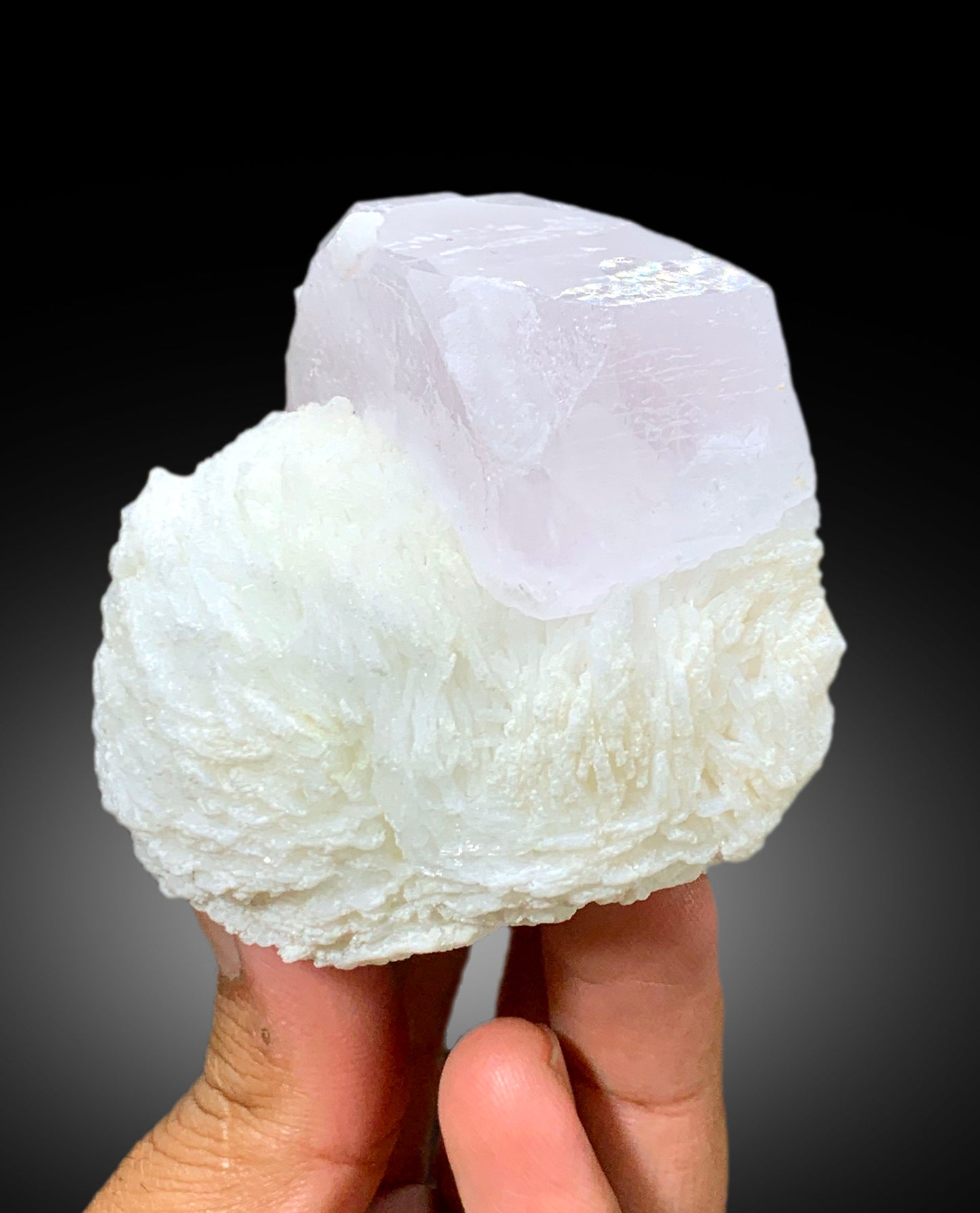 Natural Pink Color Morganite Crystal with White Cleavelandite Albite, Morganite Specimen, Raw Mineral, Morganite Gemstone - 260 grm