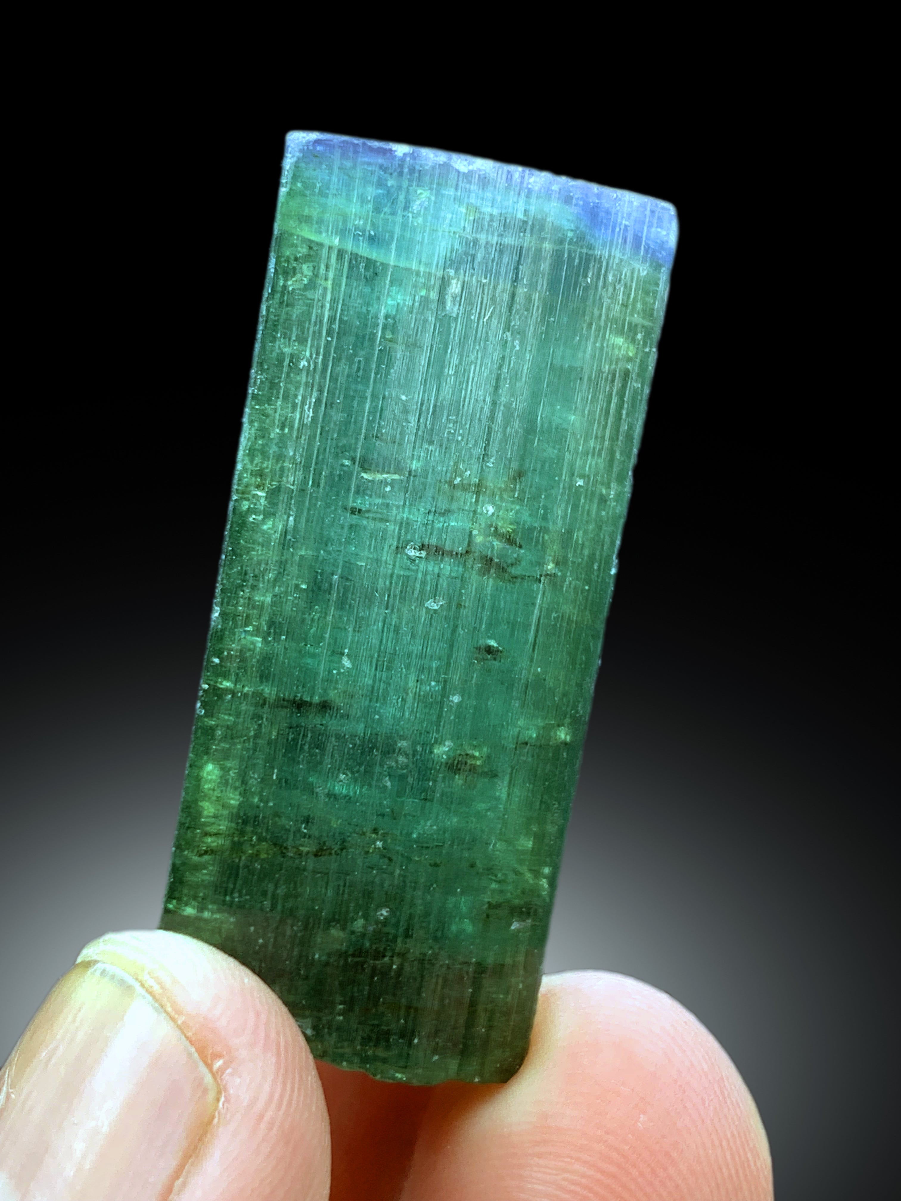 Blue Cap Green Tourmaline Crystal from Paprok Afghanistan - 124.20 carats