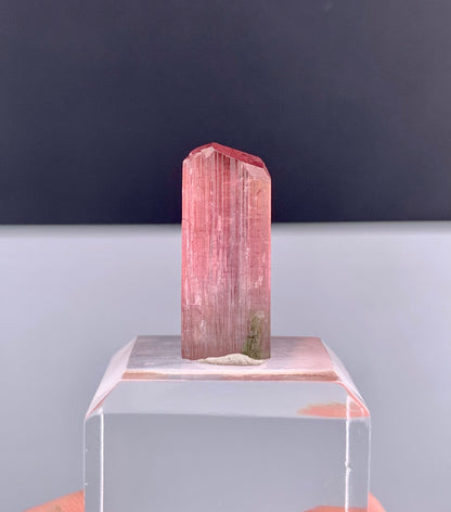 Rubelite Pink Tourmaline Crystal from Afghanistan - 11.75 Carats