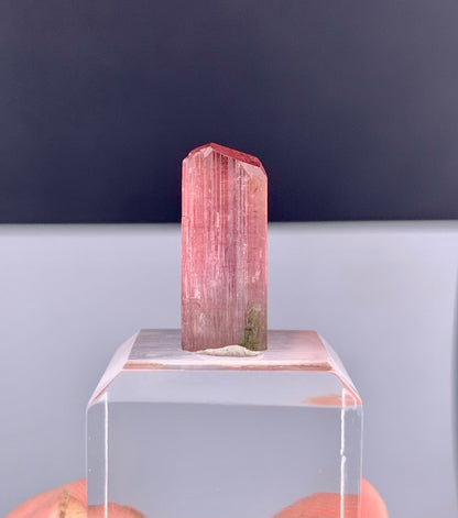 Rubelite Pink Tourmaline Crystal from Afghanistan - 11.75 Carats