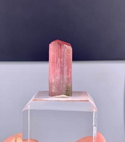 Rubelite Pink Tourmaline Crystal from Afghanistan - 11.75 Carats