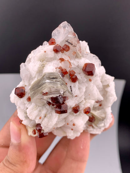 Red Spessartine Garnet Crystals with Muscovite , Quartz and Feldspar from Pakistan - 176 gram