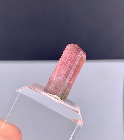Rubelite Pink Tourmaline Crystal from Afghanistan - 11.75 Carats