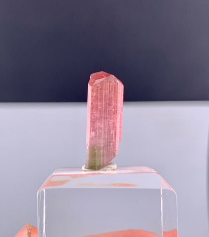 Rubelite Pink Tourmaline Crystal from Afghanistan - 11.75 Carats