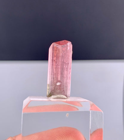 Rubelite Pink Tourmaline Crystal from Afghanistan - 11.75 Carats