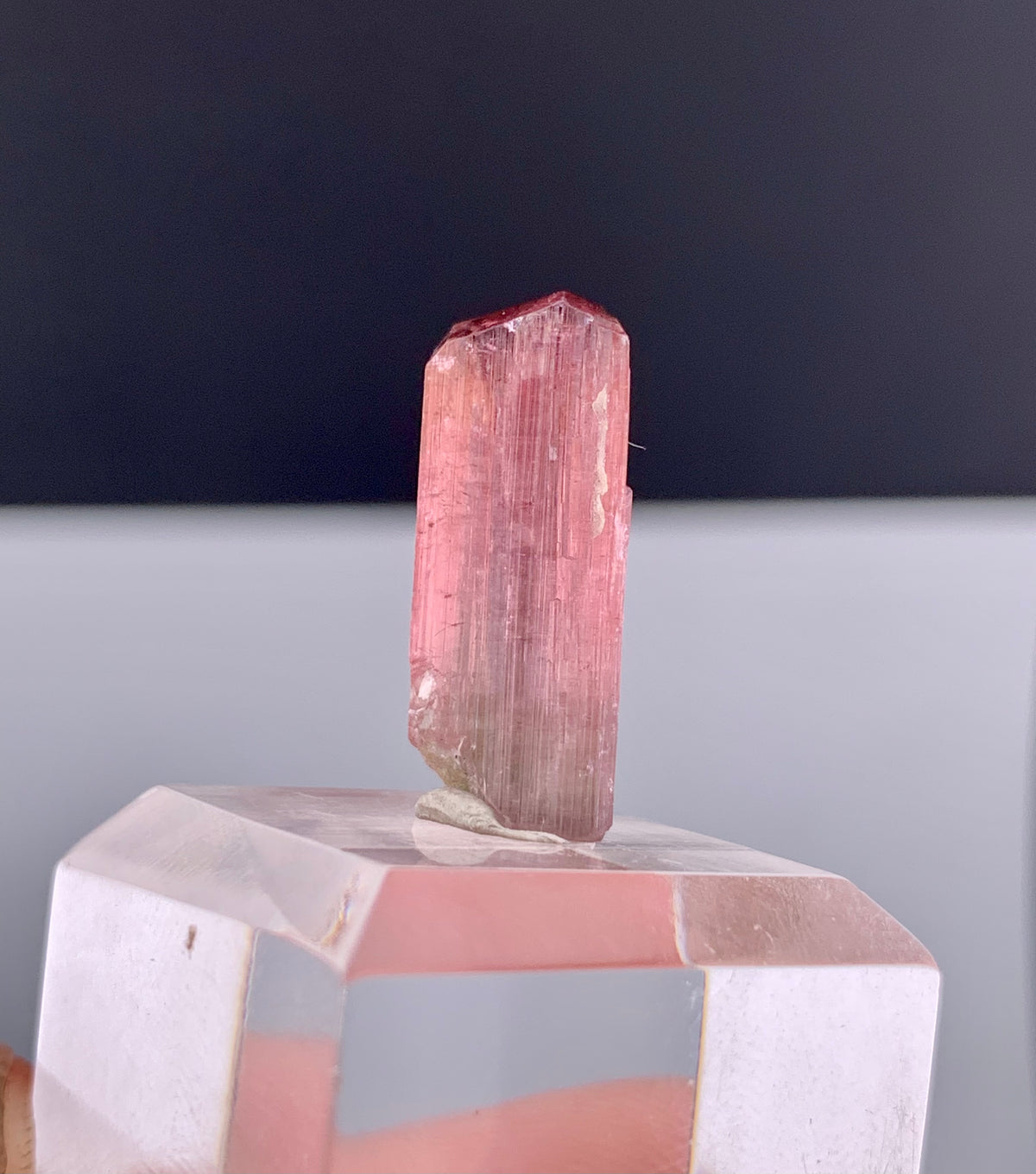 Rubelite Pink Tourmaline Crystal from Afghanistan - 11.75 Carats