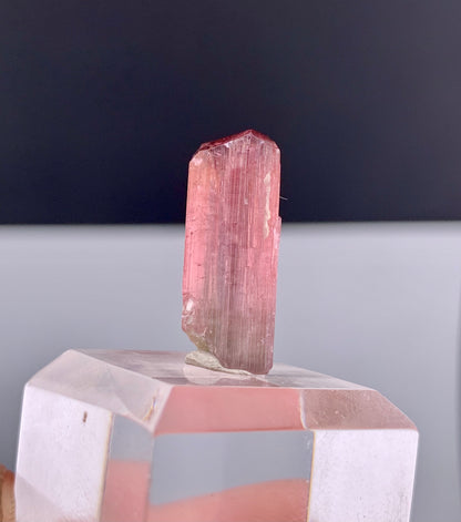 Rubelite Pink Tourmaline Crystal from Afghanistan - 11.75 Carats
