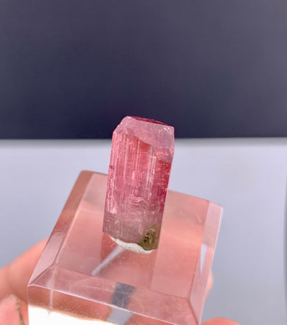 Rubelite Pink Tourmaline Crystal from Afghanistan - 11.75 Carats