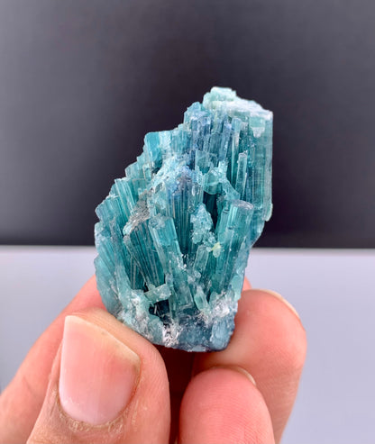 Indicolite Blue Tourmaline Crystal Bunch From Afghanistan - 24 Grams
