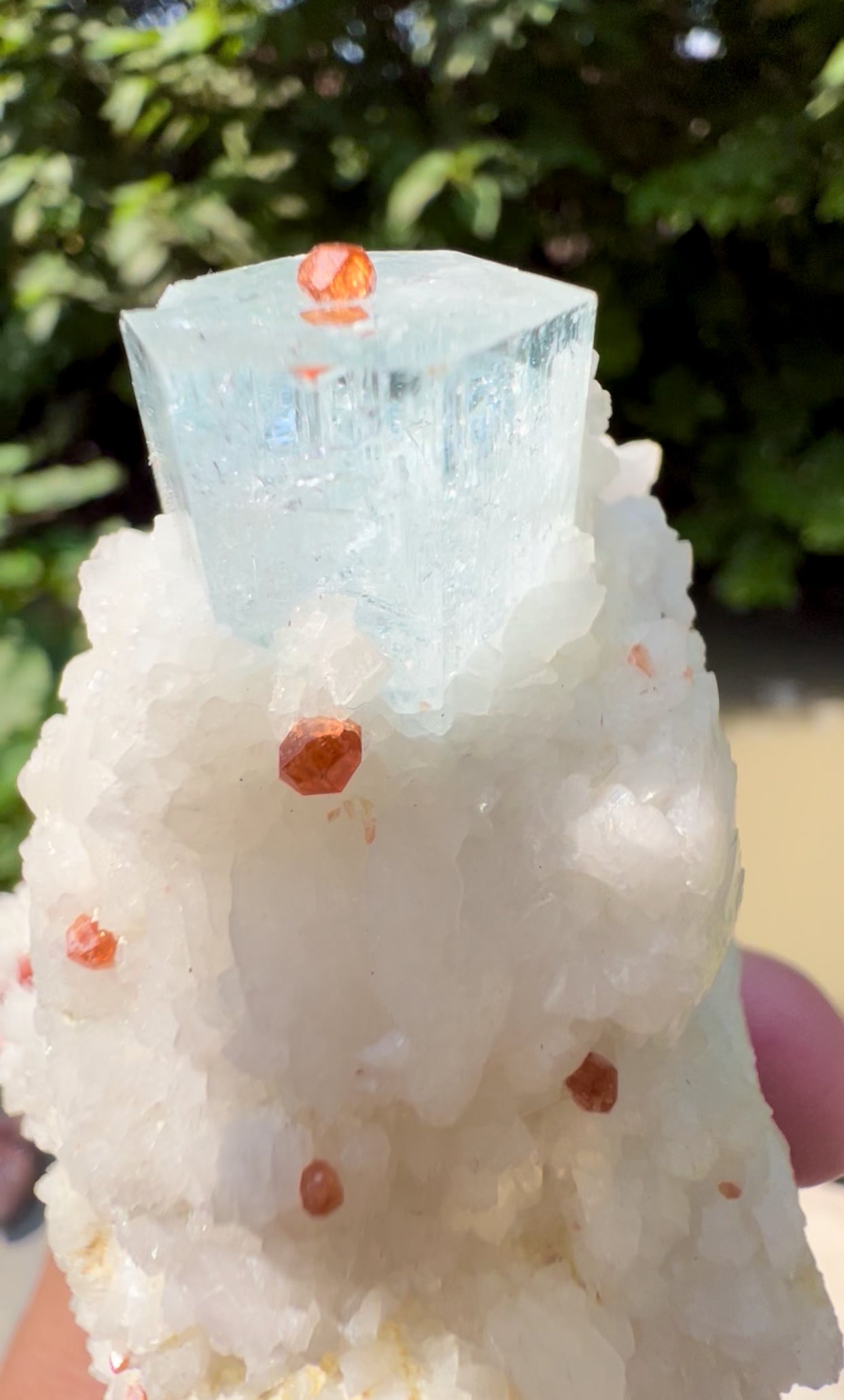 Blue Aquamarine with Spessartine Garnet, Quartz and Albite from Shigar valley Pakistan - 186 grams