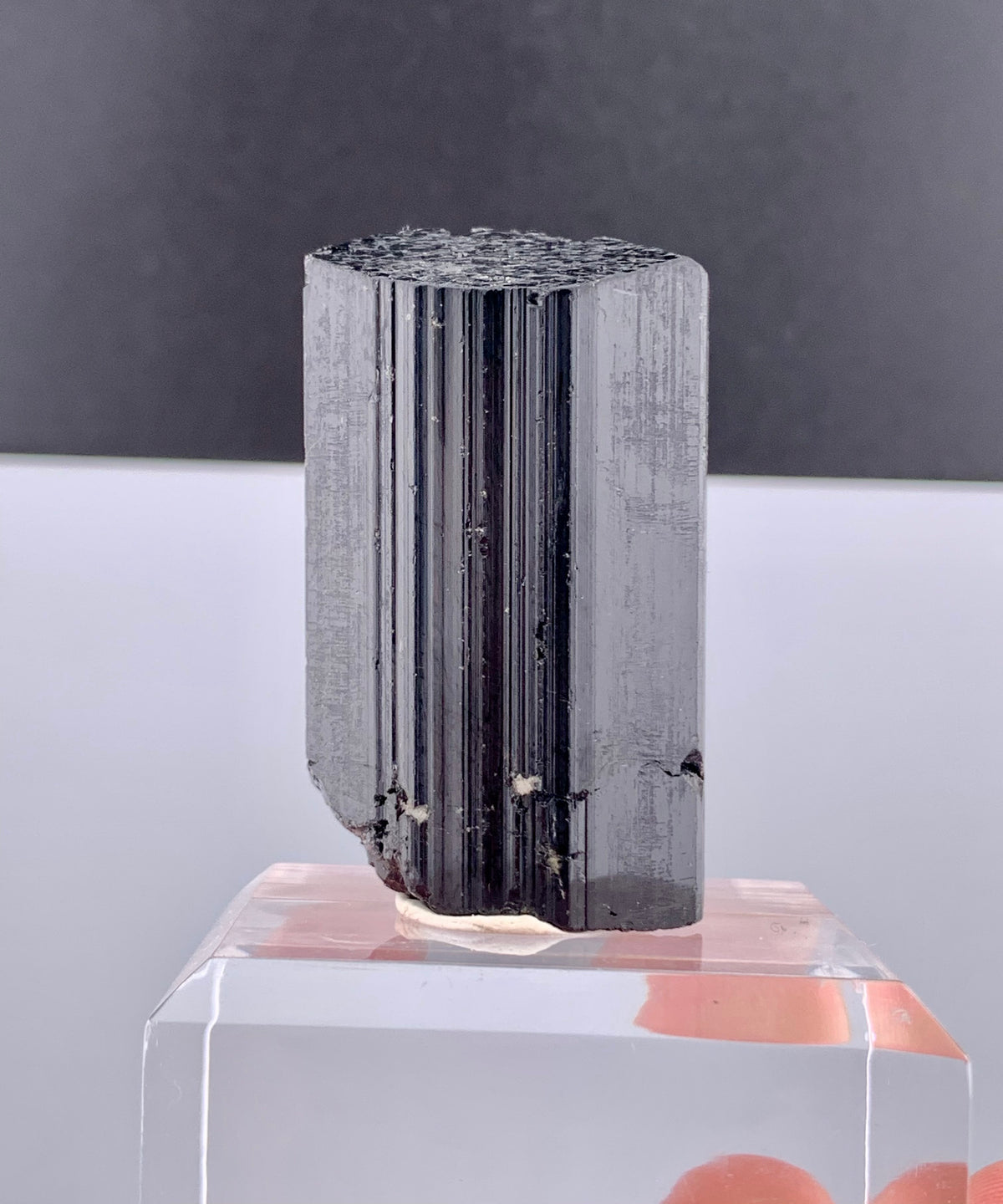 Schorl Black Tourmaline Crystal From Pakistan - 75 Grams