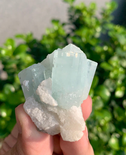 Blue Aquamarine Crystals With Hematite Inclusions From Pakistan - 54 Grams