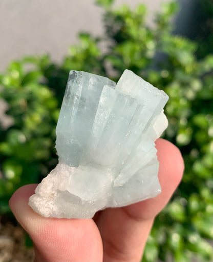 Blue Aquamarine Crystals With Hematite Inclusions From Pakistan - 54 Grams