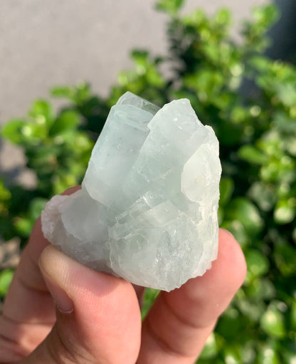 Blue Aquamarine Crystals With Hematite Inclusions From Pakistan - 54 Grams