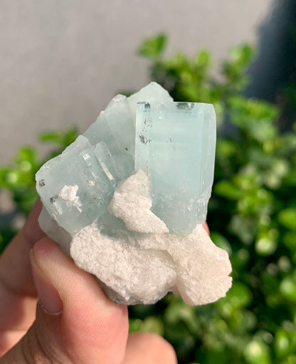 Blue Aquamarine Crystals With Hematite Inclusions From Pakistan - 54 Grams