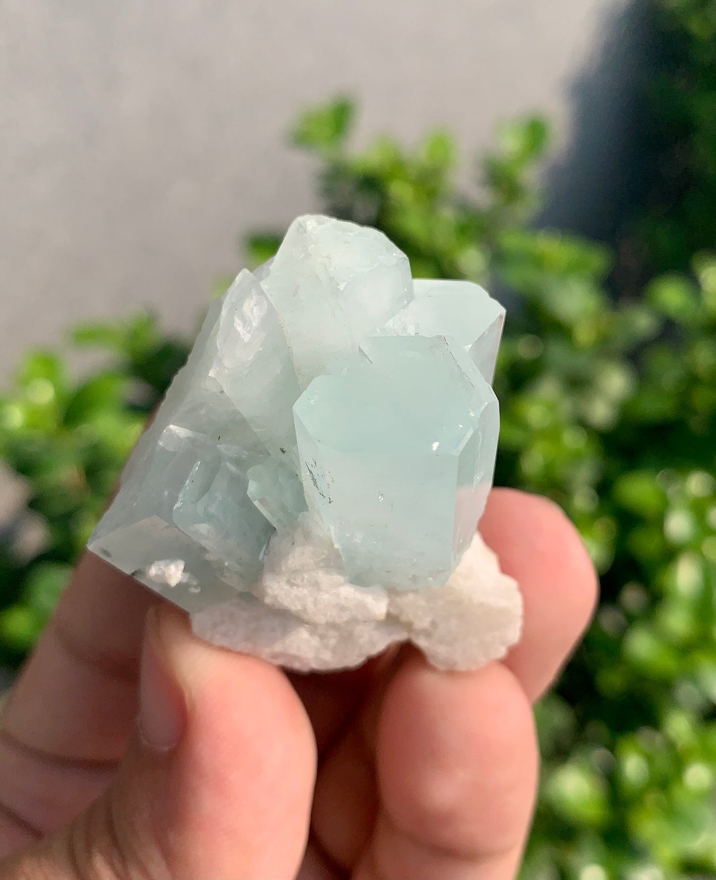 Blue Aquamarine Crystals With Hematite Inclusions From Pakistan - 54 Grams