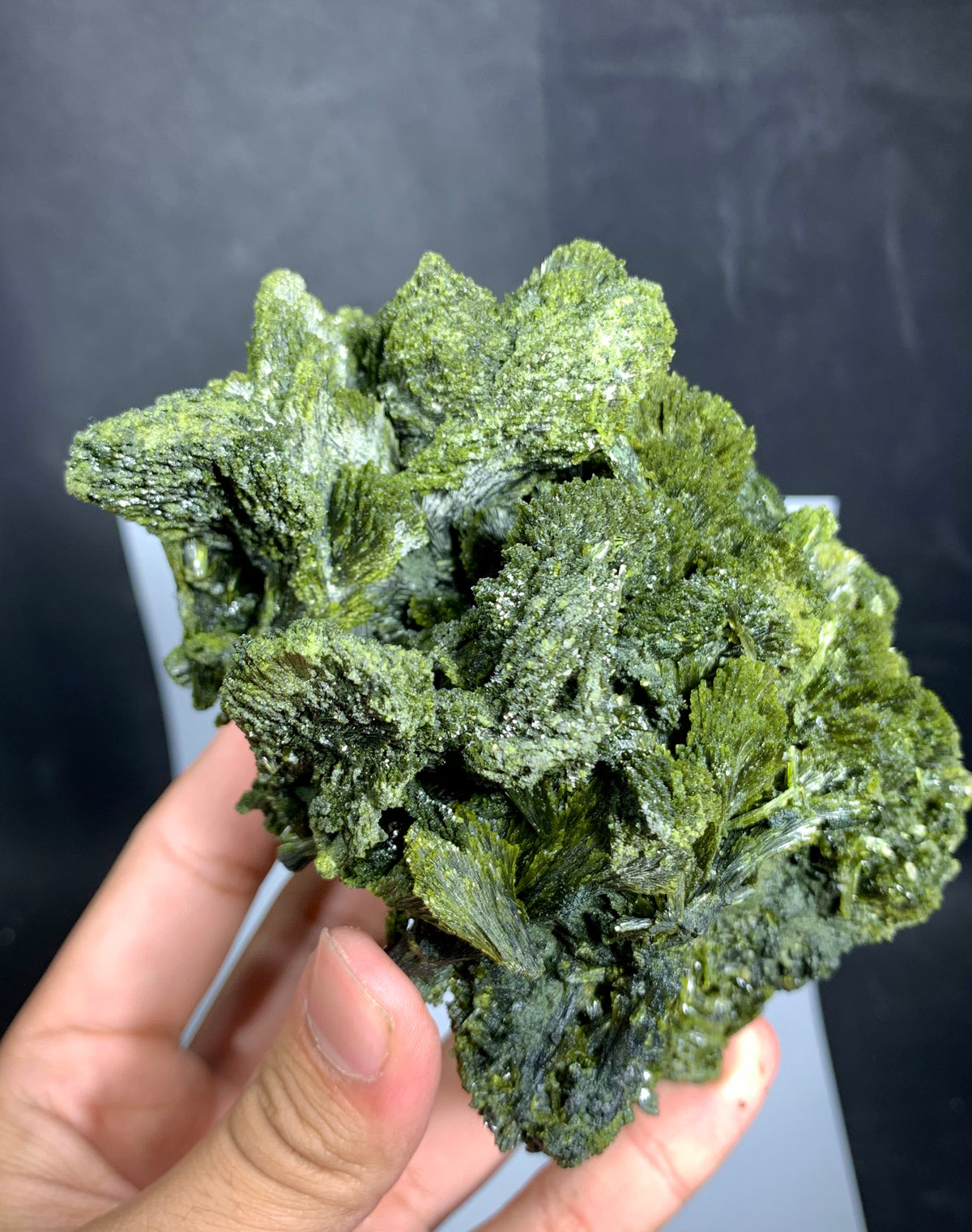 Tree Green Epidot Crystal From Pakistan - 744 Grams