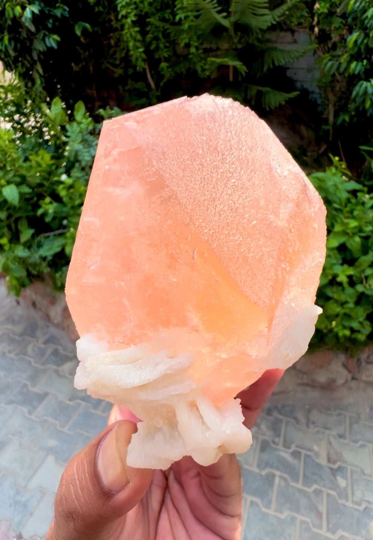 Exquisite Hot Pink Morganite on Albite from Afghanistan - 426 gram