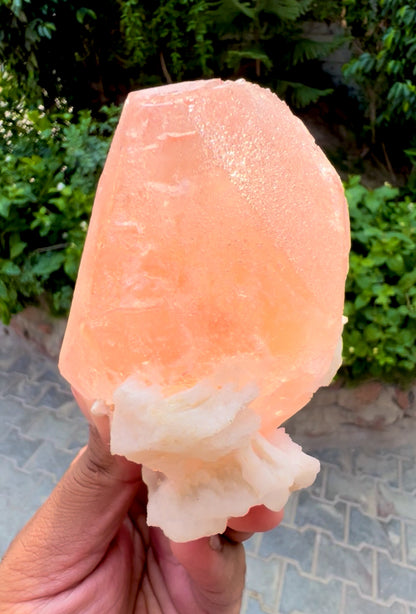 Exquisite Hot Pink Morganite on Albite from Afghanistan - 426 gram