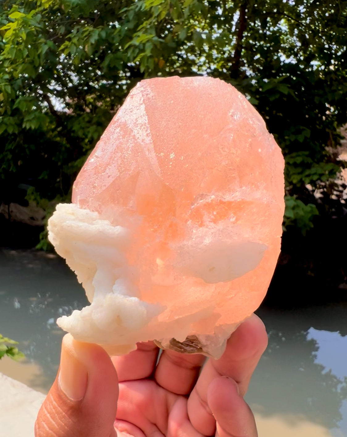 Exquisite Hot Pink Morganite on Albite from Afghanistan - 426 gram