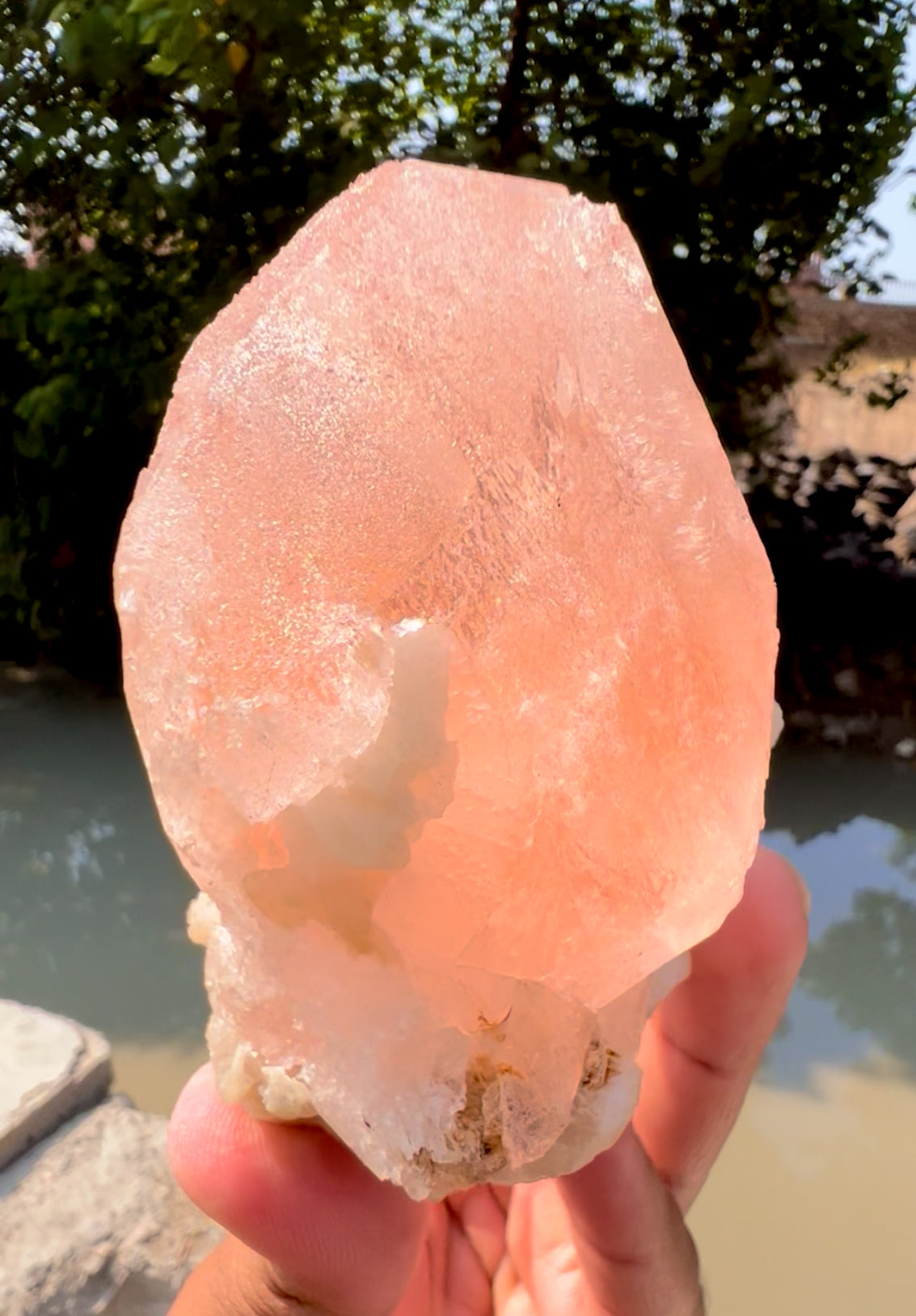 Exquisite Hot Pink Morganite on Albite from Afghanistan - 426 gram