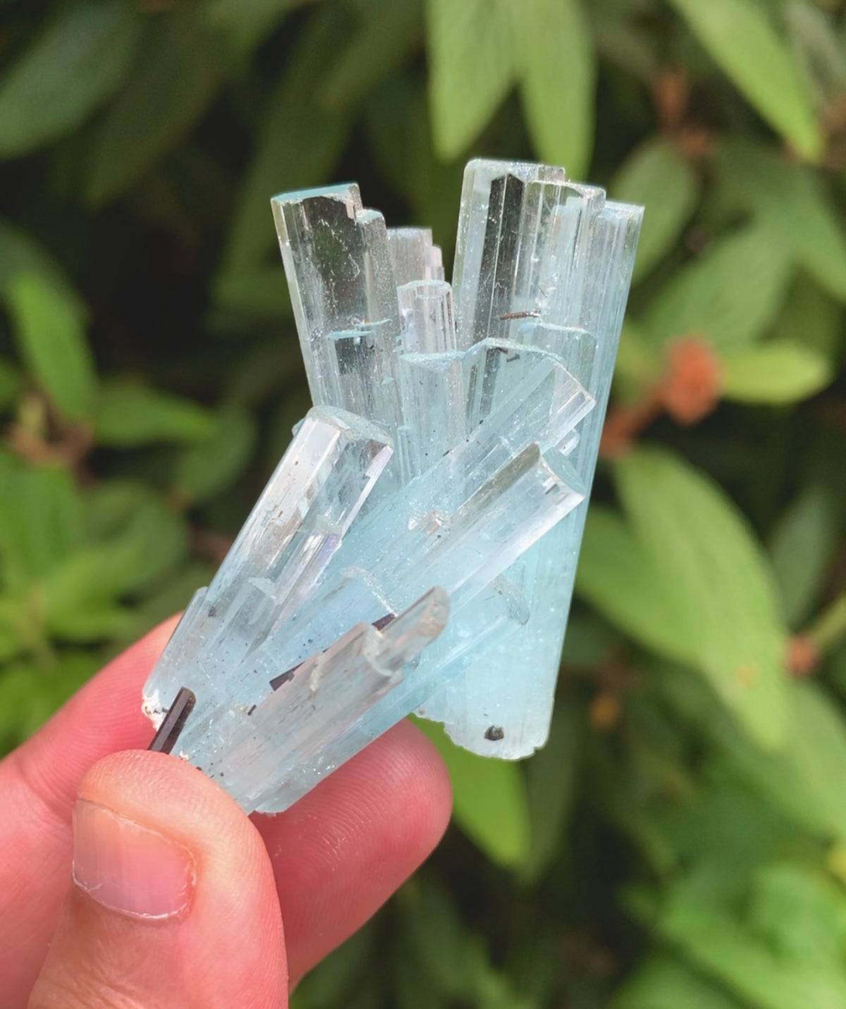 Sky Blue Color Aquamarine Cluster, Aquamarine Specimen, Crystals Cluster, Shigar Aquamarine - 37 gram